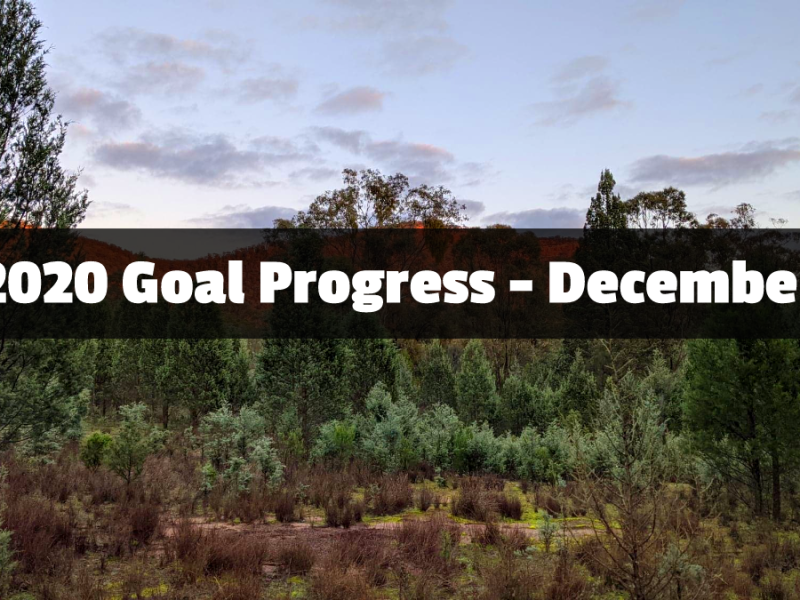 2020 Goal Progress – December