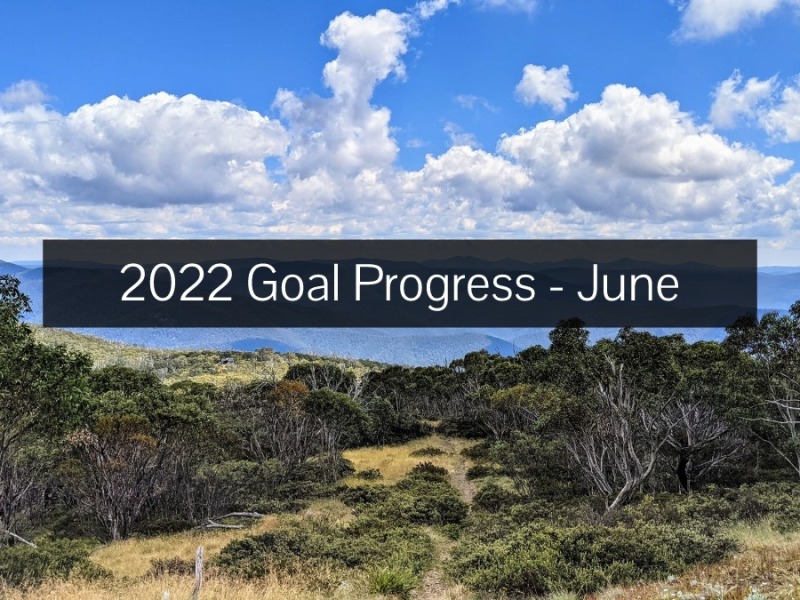 2022 Goal Progress – June